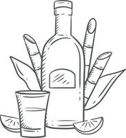 bottle of wine and glass. Bottle of tequila and glass. Vector illustration in sketch style