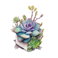 succulento clipart cactus natura pianta con spine e fiorire ai generativo png