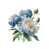 Blau Weiß Pfingstrosen Clip Art Aquarell Rose Orange Blau und Blätter ai generativ png