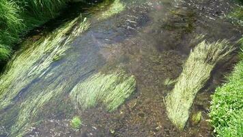 clear river flowing. Waterway in the countryside in autumn weather video