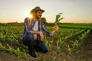 A farmer examining the crop photo