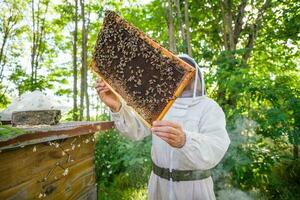 Beekeeper is examining his beehives photo