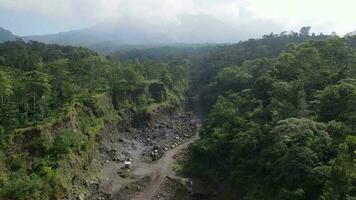 Aerial valley of Tropical Forest on Mountain in Indonesia video