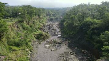 Aerial valley of Tropical Forest on Mountain in Indonesia video