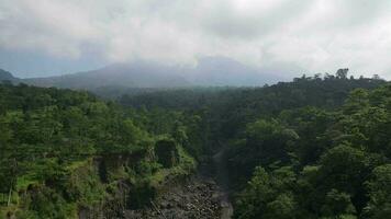 Aerial valley of Tropical Forest on Mountain in Indonesia video