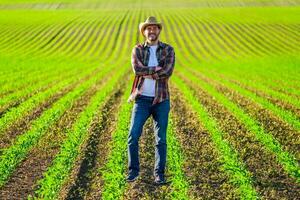 hombre granjero es cultivando maíz en su tierra foto