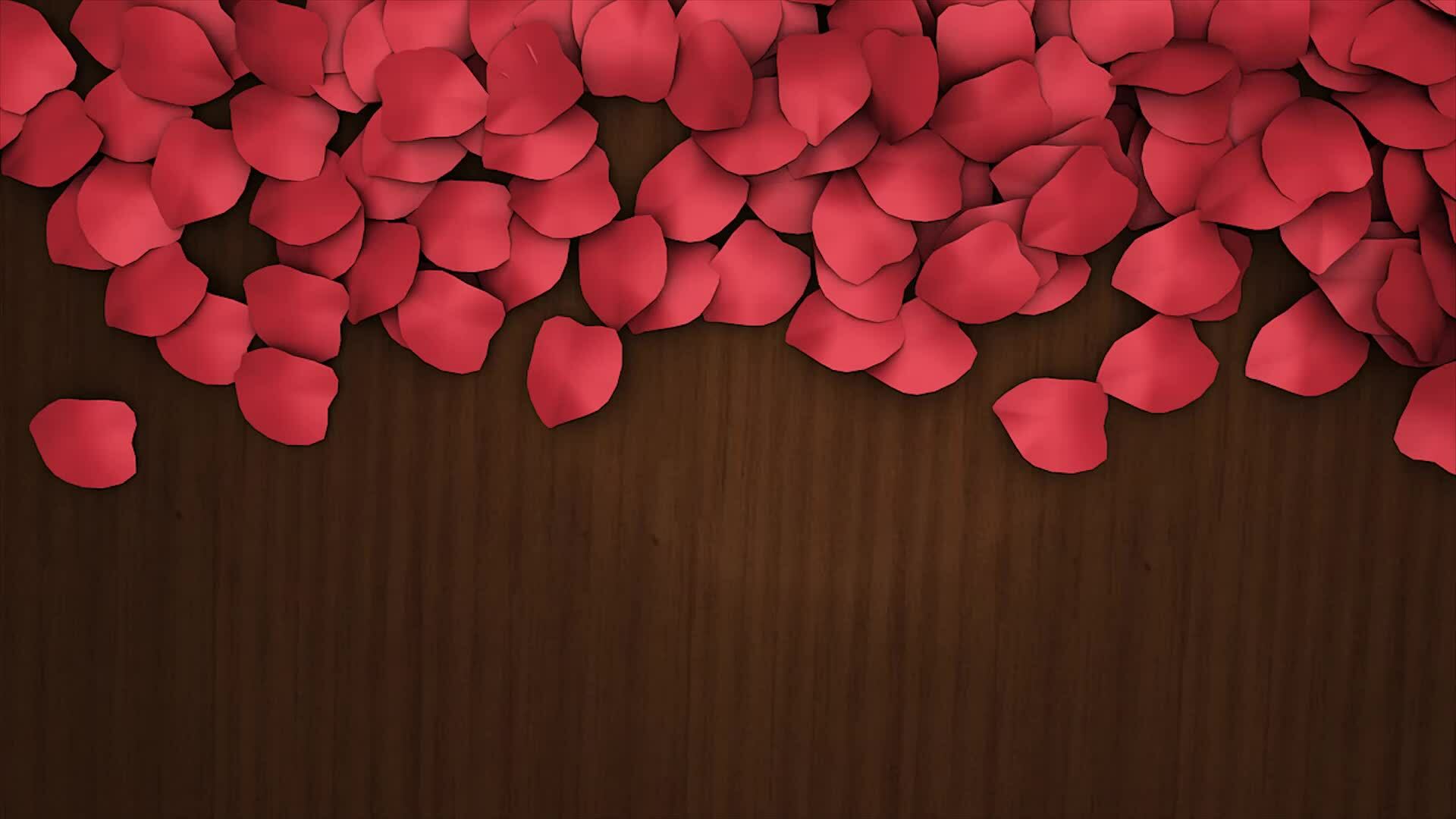 Animation of flower petals blowing in the wind. alpha channel included