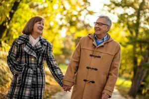 A senior couple spending time together in the park photo