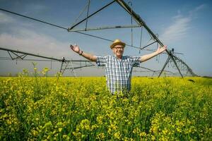 A farmer examining a rapeseed field photo