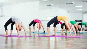 Women doing physical exercises photo