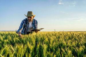 A farmer examining the crop photo