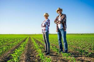 agricultores en pie en un maíz campo foto