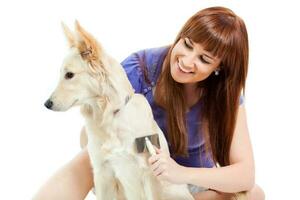 A woman grooming a dog photo