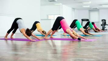 Women doing physical exercises photo