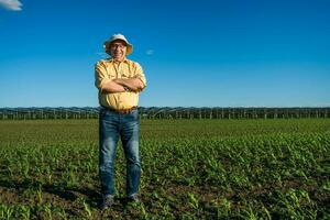 granjero en pie en un maíz campo foto