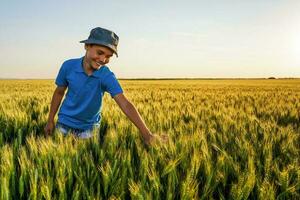 pequeño chico en pie en un trigo campo foto