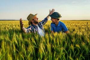 Father and son standing in a wheat field photo