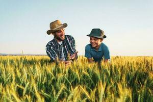 Father and son standing in a wheat field photo