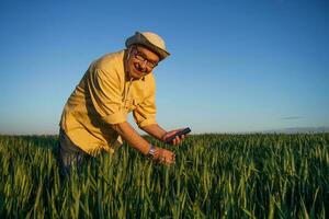 A farmer examining the crop photo