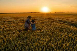 Father and son standing in a wheat field photo