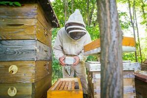 Beekeeper is examining his beehives photo