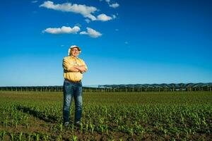 granjero en pie en un maíz campo foto