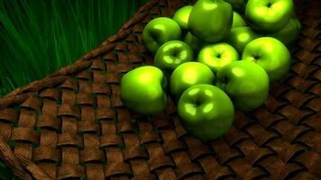 Fresh apples rolling down on bamboo bucket. video