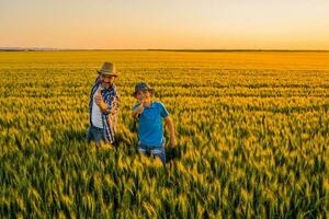 padre y hijo en pie en un trigo campo foto