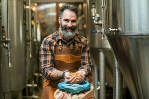 Maestro cervecero examinando el cebada semillas antes de ellos entrar producción. foto