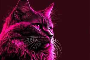 Magenta cat illustration photo