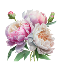 rose blanc pivoines clipart chaud rose des roses, Barbie rose renoncule, blanc pivoine, foncé orchidée, hortensia, Ivoire magnolia, œillet ai génératif png