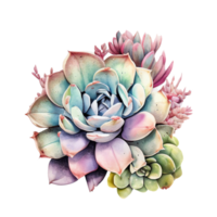 succulento clipart cactus natura pianta con spine e fiorire ai generativo png