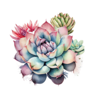 saftig Clip Art Kaktus Natur Pflanze mit Dornen und blühen ai generativ png