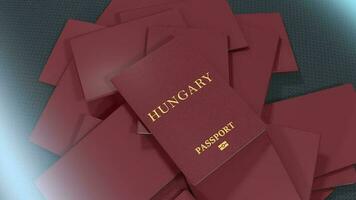 Artist rendering Hungary travel passport. video