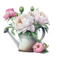 rosa bianca peonie clipart caldo rosa Rose, Barbie rosa ranuncolo, bianca peonia, buio orchidea, ortensia, avorio magnolia, garofano ai generativo png