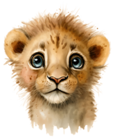 cute lion cub watercolor, isolated, png