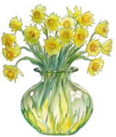 Daffodil yellow flowers in vase watercolor illustration, png