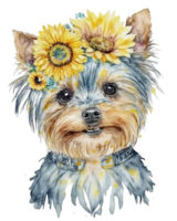 watercolor illustration of a Yorkshire terrier dog with sunflower on head, png