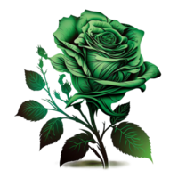 Green rose watercolor illustration, png