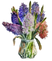 Hyacinth flower in a vase watercolor, png