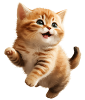 cute round faced cat with a smile, isolated, png