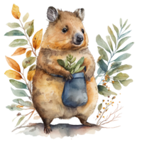 Quokka Aquarell Tier Illustration, ai generativ png