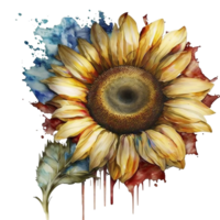 watercolor sunflower with american flag, 4th of july, png