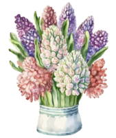 Hyacinth flower in a vase watercolor, png