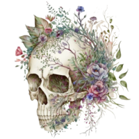 Skull with flowers, gothic floral skull, png