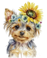 watercolor illustration of a Yorkshire terrier dog with sunflower on head, png