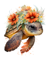 Sea turtle with flower watercolor, png