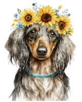 Dackel Hund Rasse mit Sonnenblume Aquarell Illustration, ai generativ png