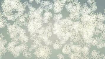 Snowfall animation, background, abstract, Christmas, holiday, snowflake. video