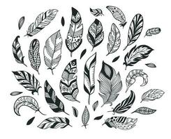 Hand drawn feathers. Sketch bird feather, retro artistic drawing ink pen and birds feathering vector isolated illustration set